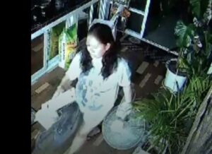 Housemaid
