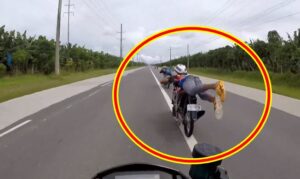Kamote Riders