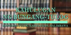 Bungang-tulog kahulugan 2
