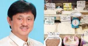 Incoming DAR Chief Conrado Estrella, P20 per Kilo rice