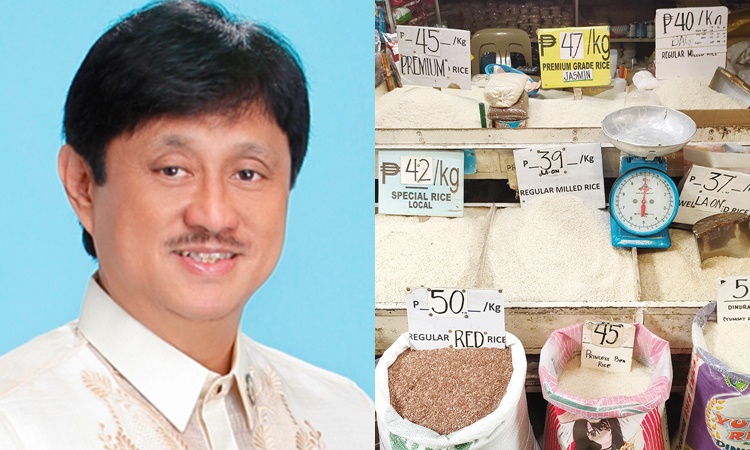 Incoming DAR Chief Conrado Estrella