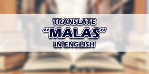 Malas In English
