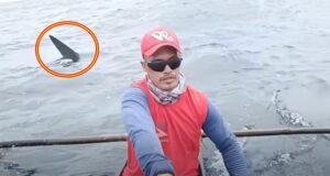 Negros Oriental shark chase