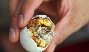 balut