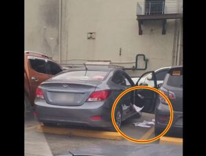 Disgusting Car Driver