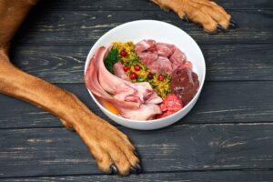 Can Dogs Eat Raw Meat and Fish