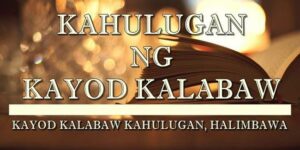 KAYOD KALABAW KAHULUGAN 2