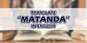 Matanda In English