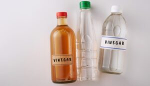 Natural Remedies for Ticks, Fleas on Dogs