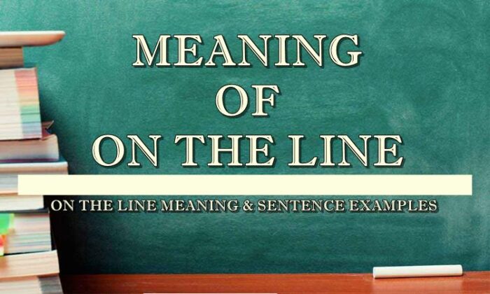 on-the-line-meaning-sentence-examples