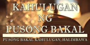 PUSONG BAKAL KAHULUGAN 2