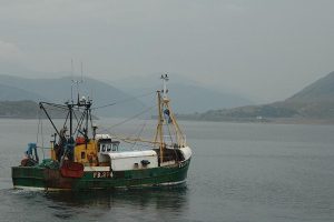 Trawl Boat