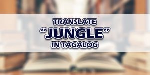 Jungle In Tagalog