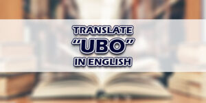 Ubo In English
