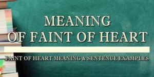 Faint of heart meaning