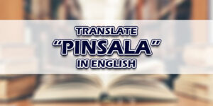Pinsala In English