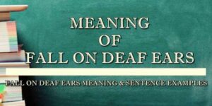 fall on deaf ears meaning 1
