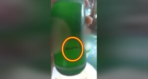 soft drink foreign object