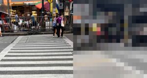 pedestrian lane railings