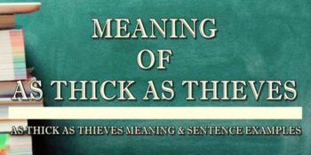 AS THICK AS THIEVES MEANING 2