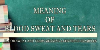 Blood, sweat, and tears meaning 1