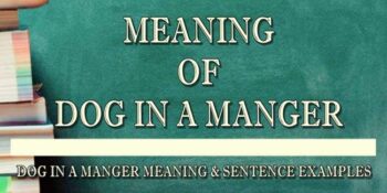 DOG IN A MANGER MEANING 4