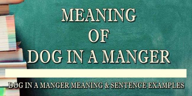 a dog in the manger meaning and sentence