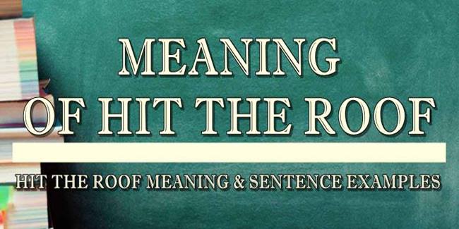 Hit The Roof Meaning & Sentence Examples