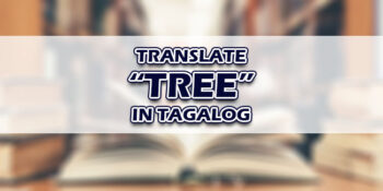 Tree In Tagalog