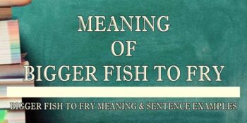 bigger fish to fry meaning 1