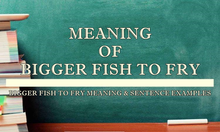 Bigger Fish To Fry Meaning Sentence Examples
