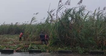 sugarcane workers during Paeng