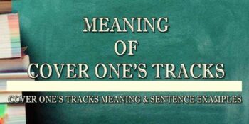 Cover One's Tracks meaning 2