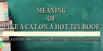 LIKE A CAT ON A HOT TIN ROOF MEANING 3