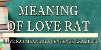 LOVE RAT MEANING 2