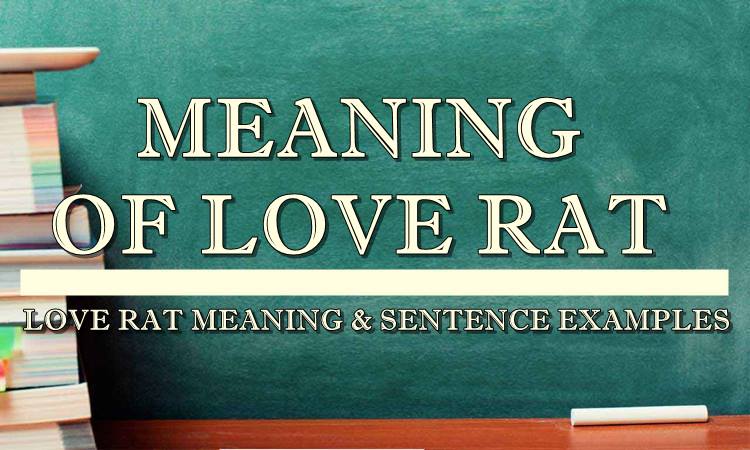 love-rat-meaning-sentence-examples