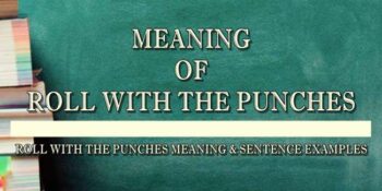 Roll With The Punches Meaning 2
