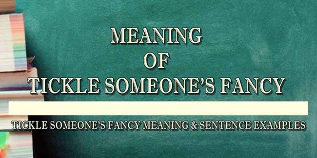 tickle-someone-s-fancy-meaning-sentence-examples