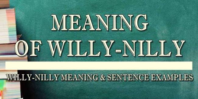 willy-nilly-meaning-sentence-examples