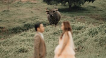 carabao on prenup