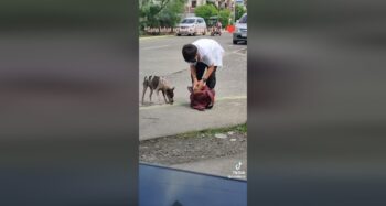 student gives baon dog