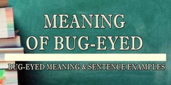 BUG-EYED MEANING 1