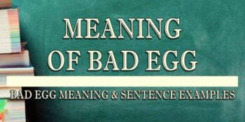 Bad Egg Meaning 2