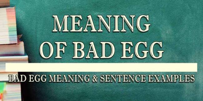 Bad Egg Meaning In Hindi