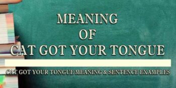 Cat Got Your Tongue Meaning 2