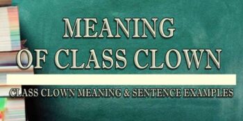 Class clown meaning 2