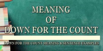 DOWN FOR THE COUNT MEANING 3