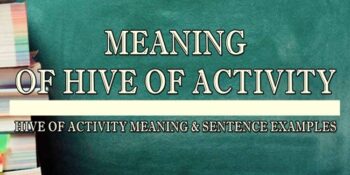 HIVE OF ACTIVITY MEANING 1