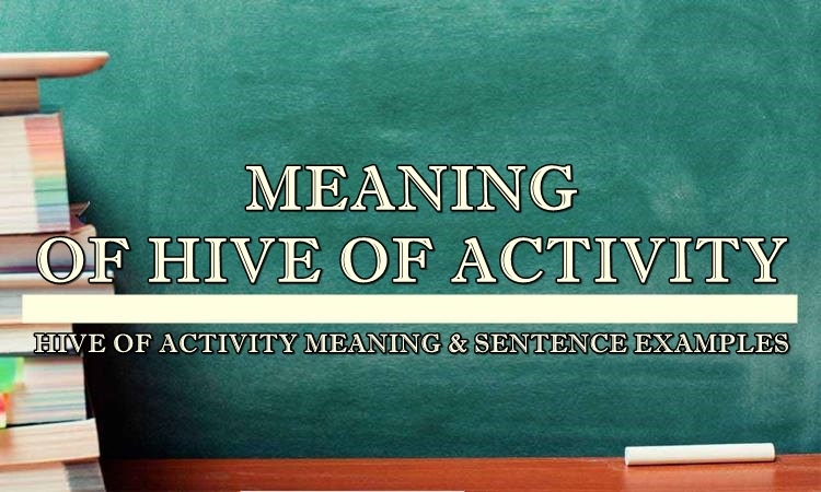 what is hive of activity meaning