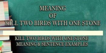 KILL TWO BIRDS WITH ONE STONE MEANING